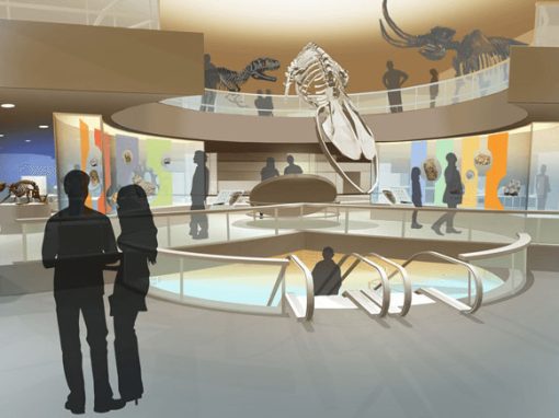 Virginia Museum of Natural History