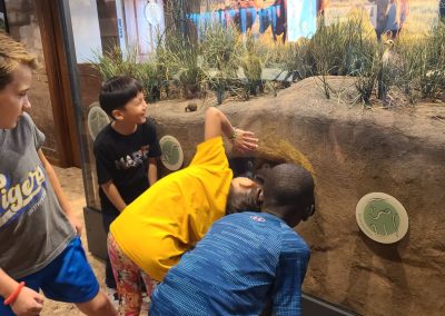 Young visitors interacting with a prairie wildlife exhibit at the National Ranching Heritage Center
