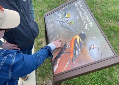 A woman points to a bird on an outdoor sign.