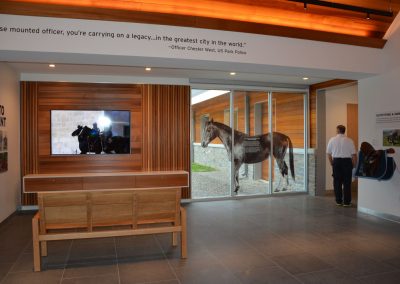 An interior space with a wooden bench, and a video monitor with a documentary about a horse planning. A cut-out silhouette of a horse is on the wall.