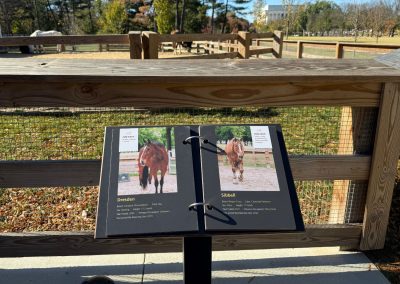 A flip book that has horses in it beside a paddock.