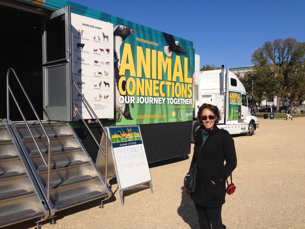 A woman with brown hair and sunglasses steps onto a mobile truck that has a traveling exhibition on it.